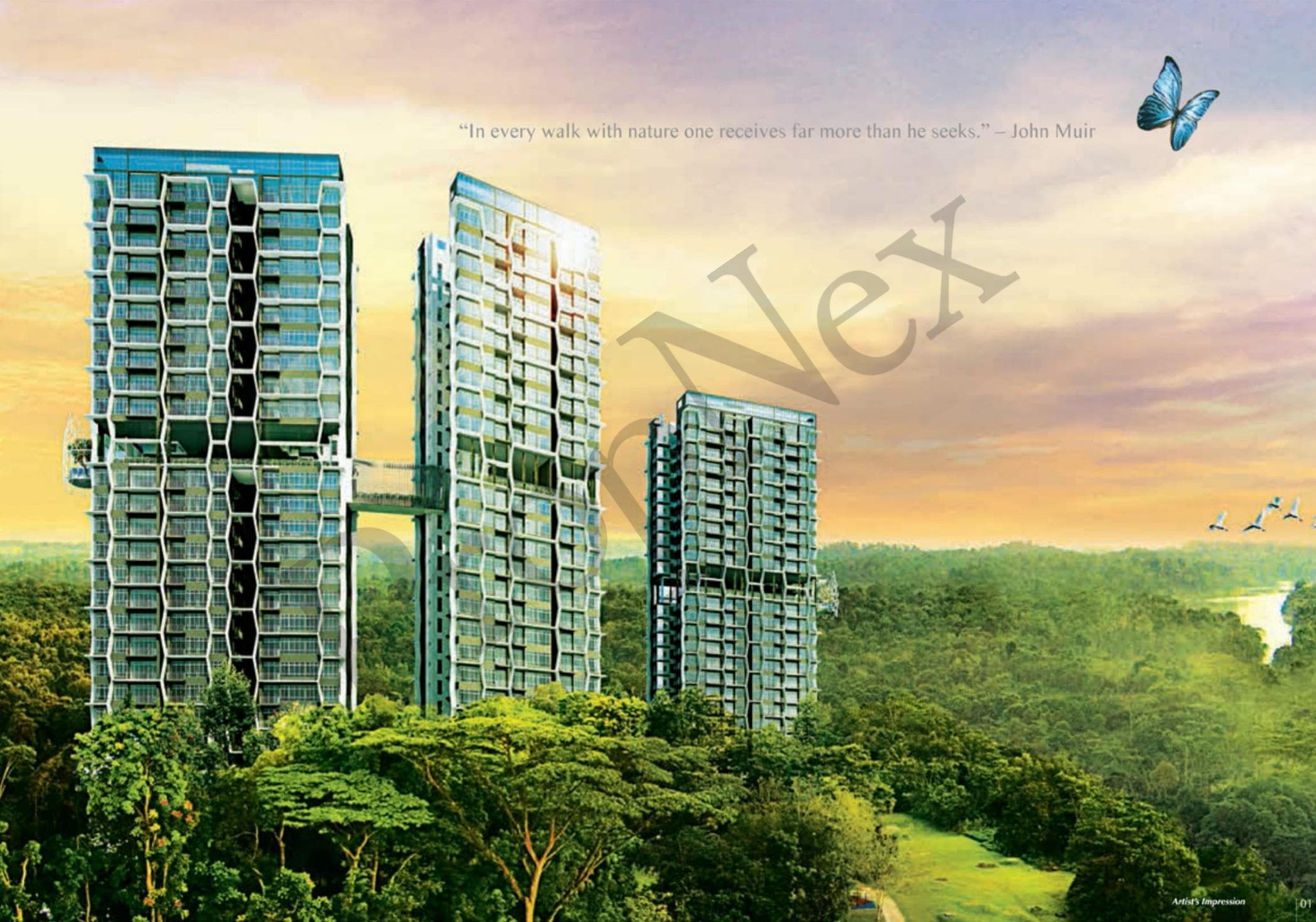 Eco Sanctuary overview