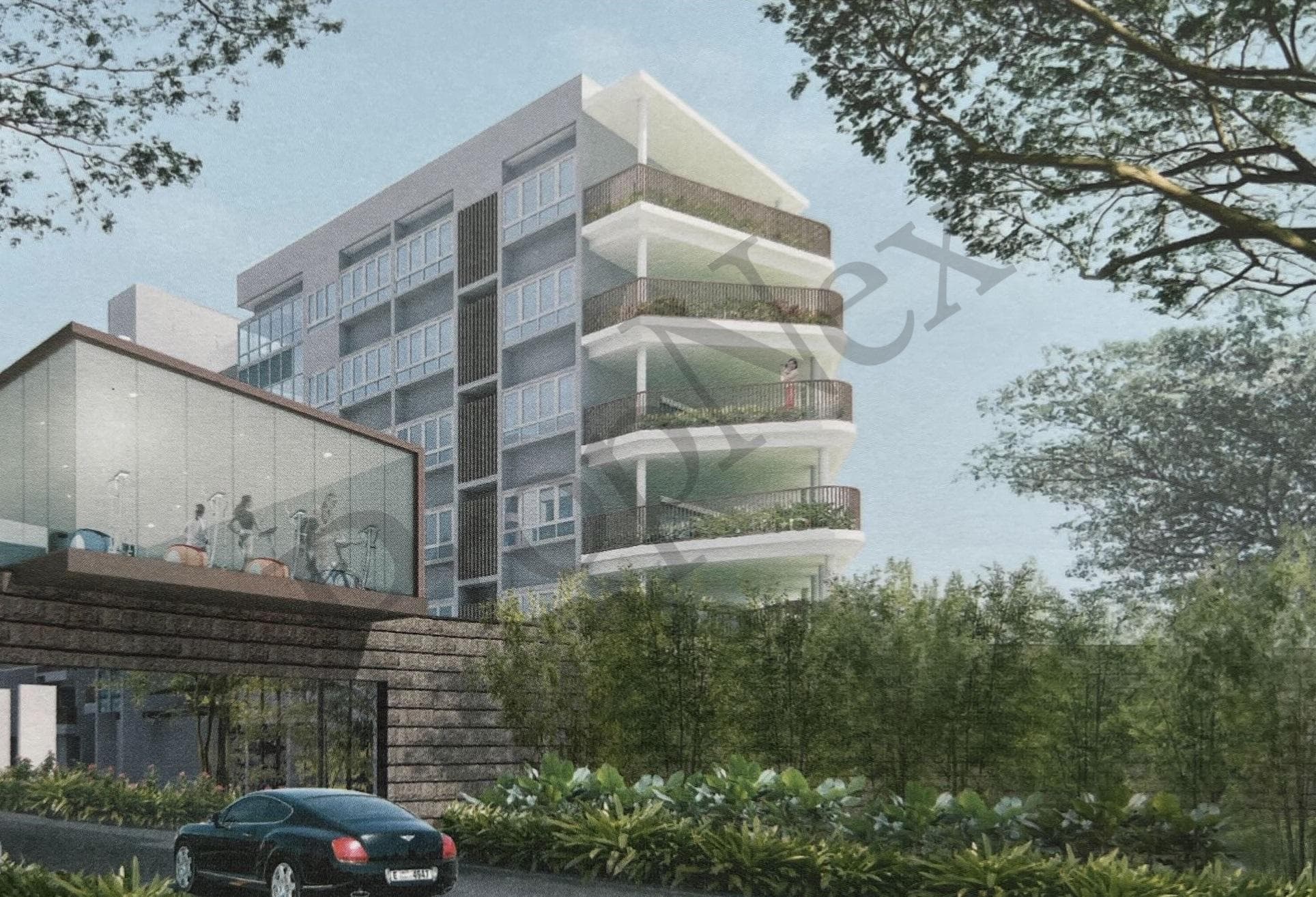 Meadows @ Peirce overview
