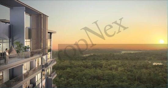 The Skywoods overview