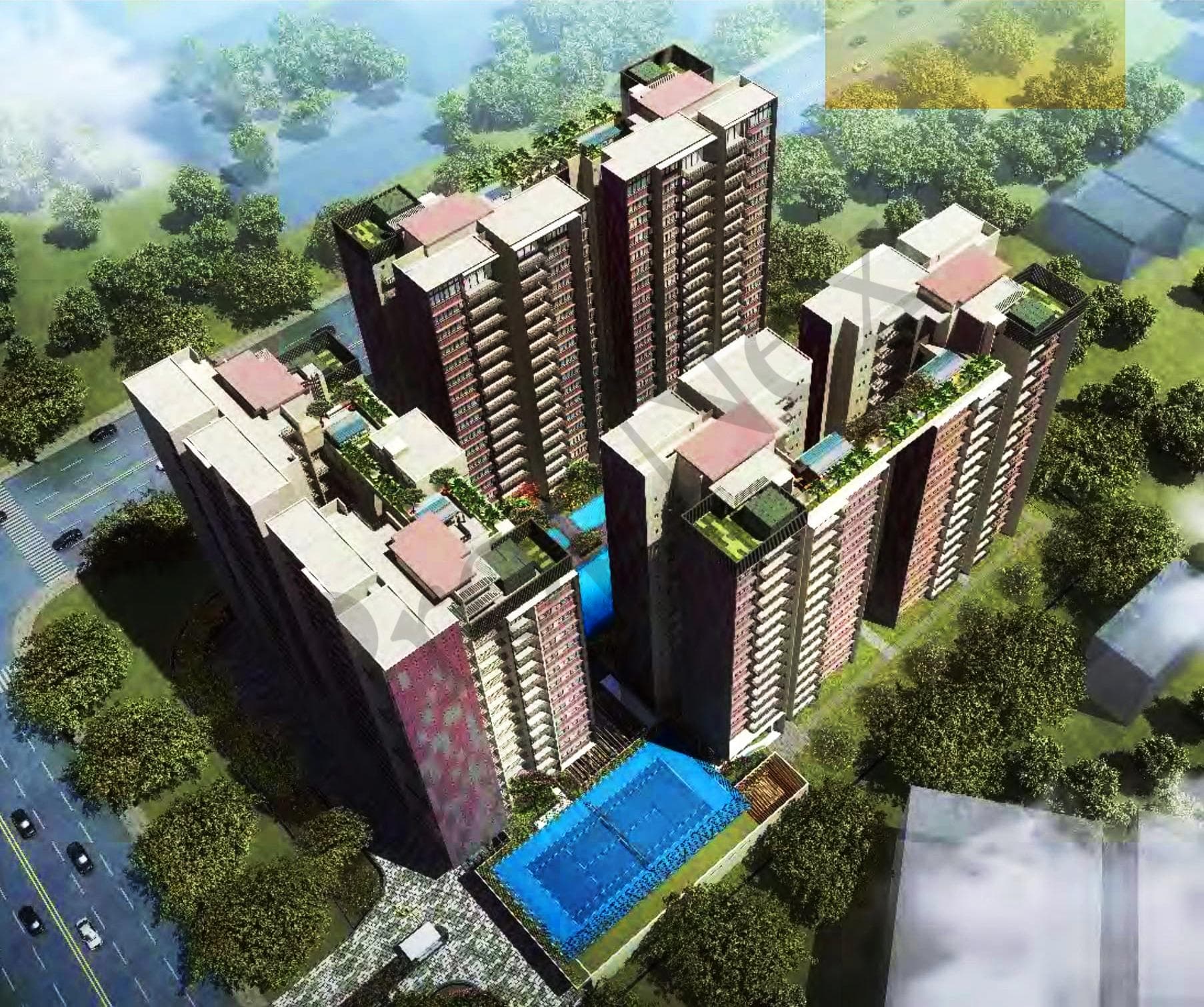 The Amore overview