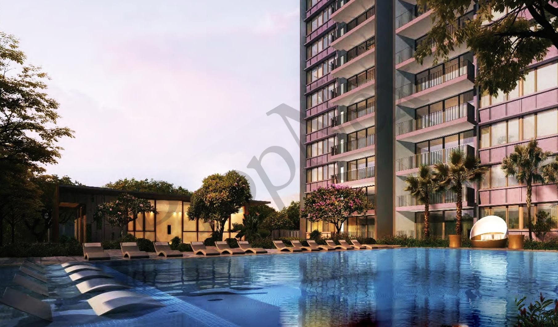 The Amore overview
