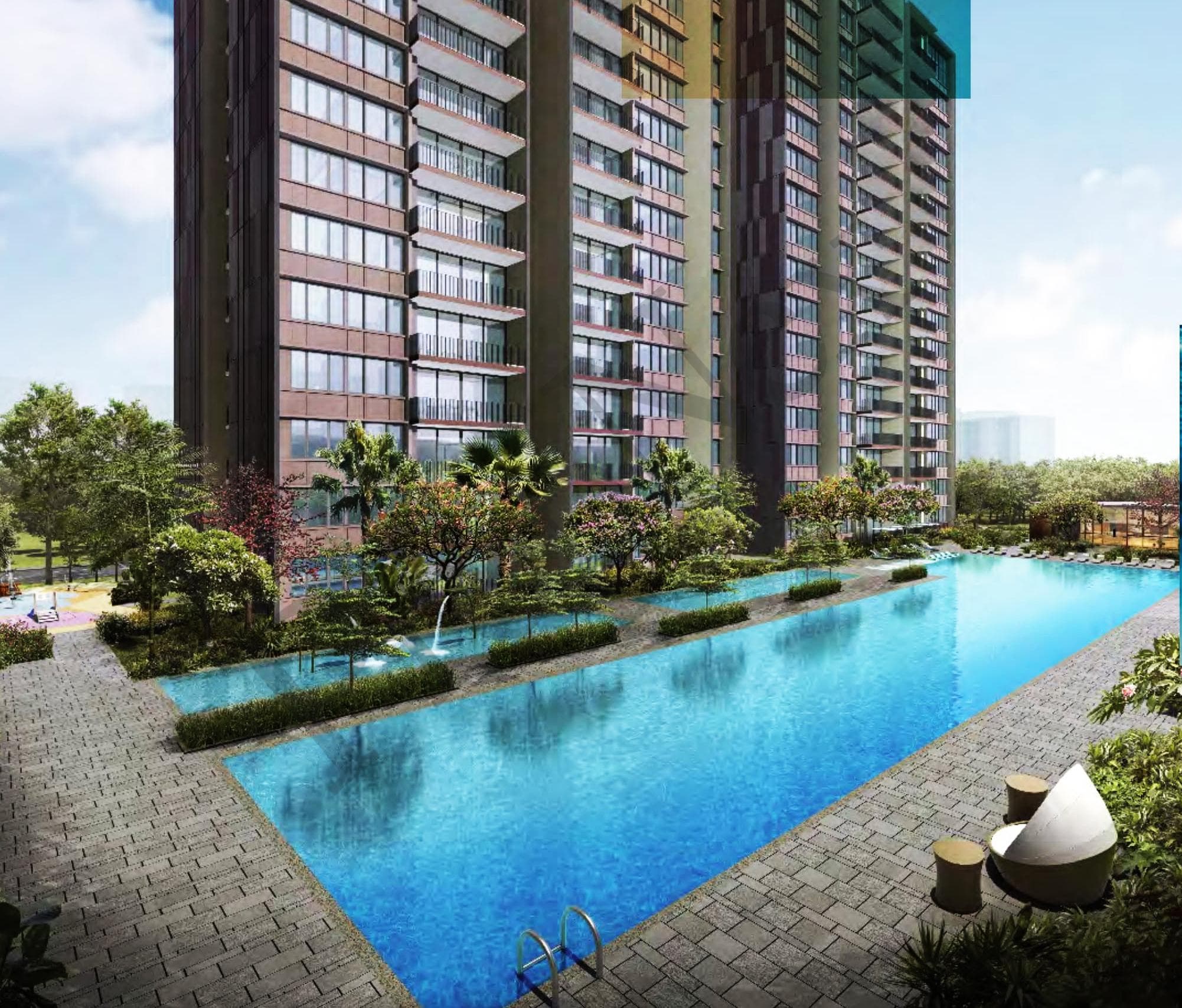 The Amore overview