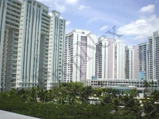 Maysprings overview