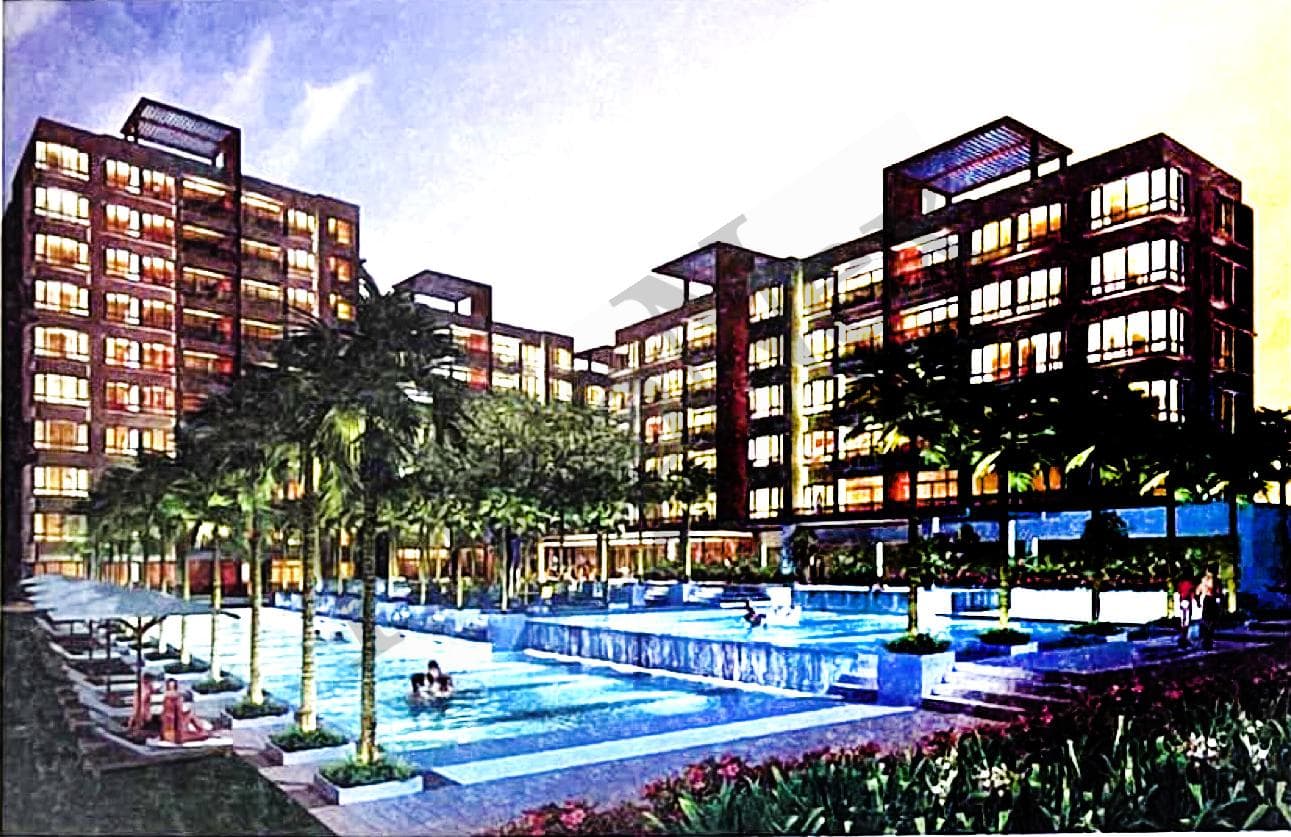 The Raintree overview