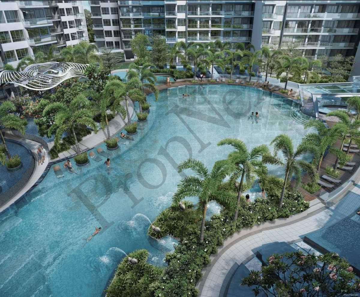 Skies Miltonia overview