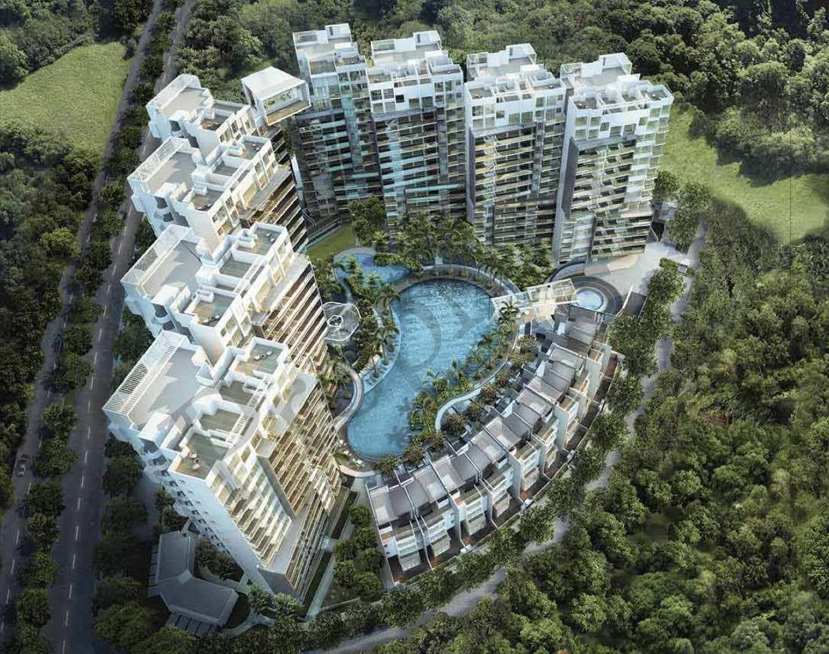 Skies Miltonia overview