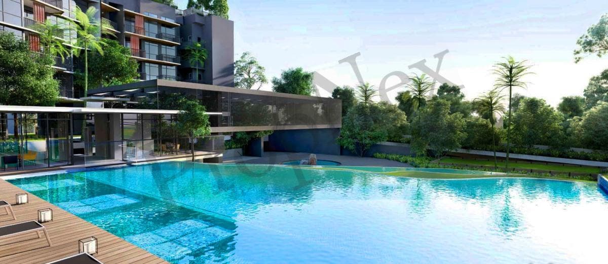Daintree Residence overview