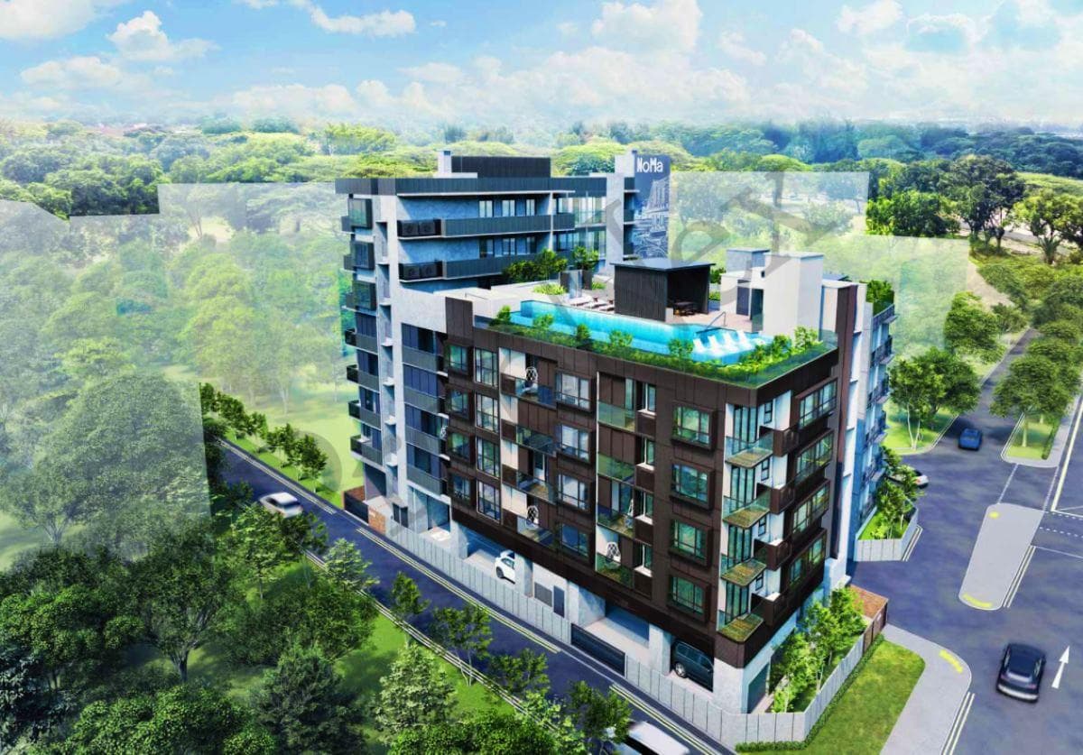 Noma listing
