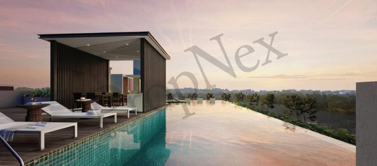 Noma overview