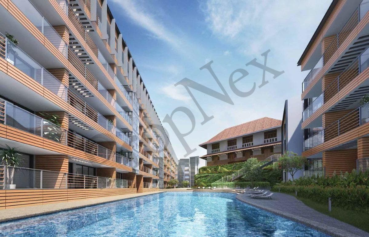 Sophia Hills overview