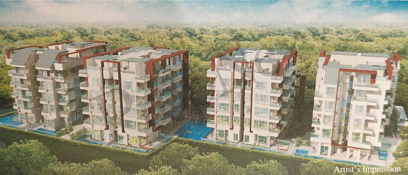 Blu Coral overview