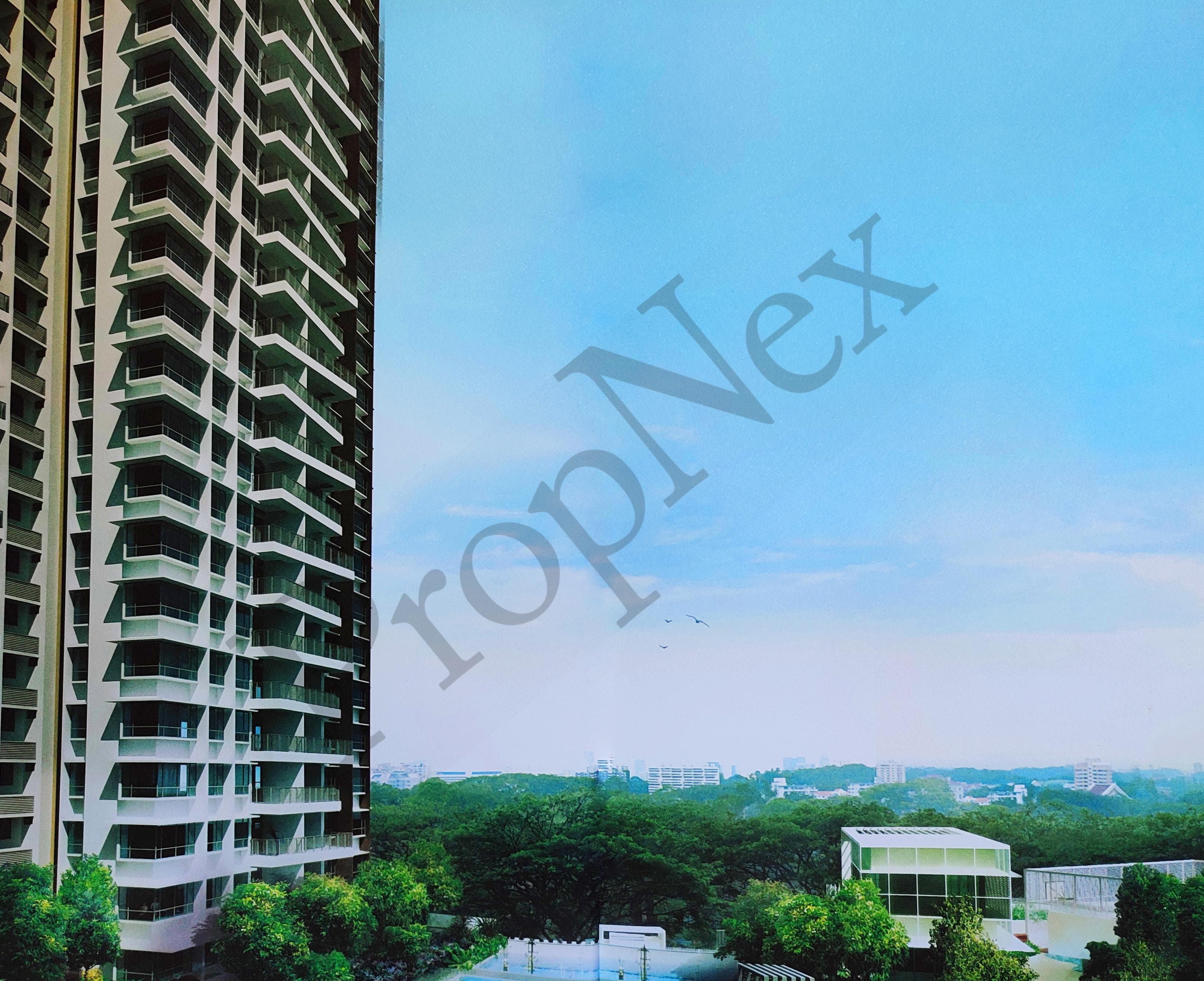 Trevista overview