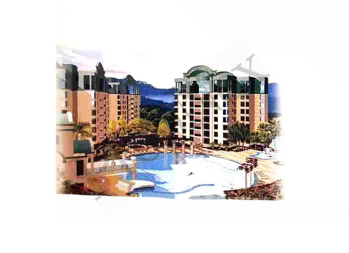Parc Palais overview