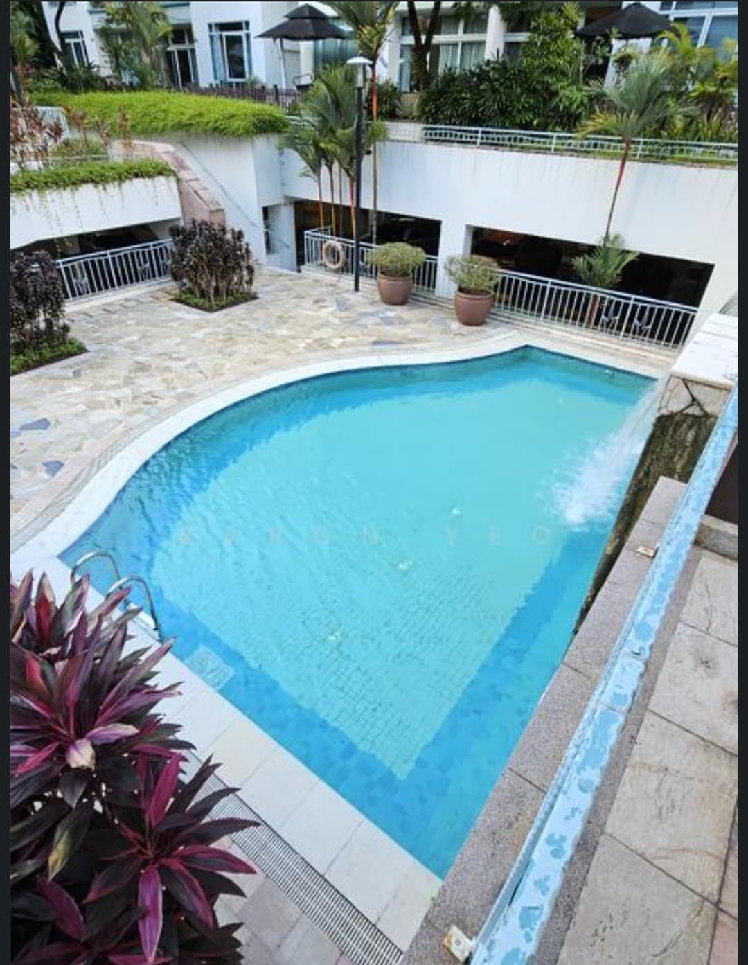 Freesia Woods listing