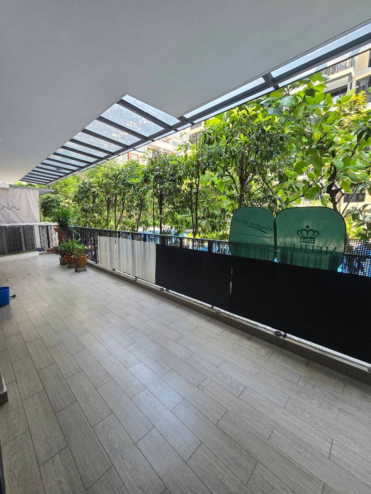 The Rainforest
