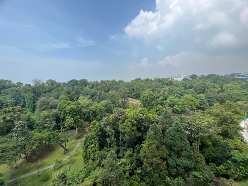 Normanton Park listing