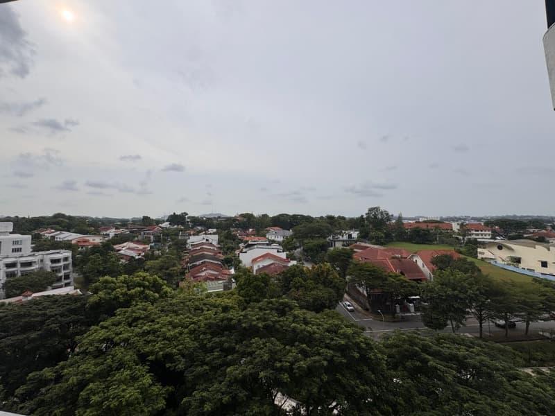 D'Leedon listing