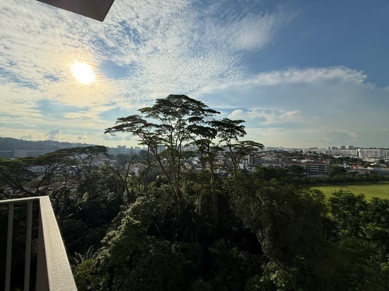The Skywoods listing