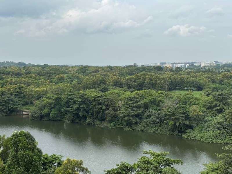 Heron Bay listing