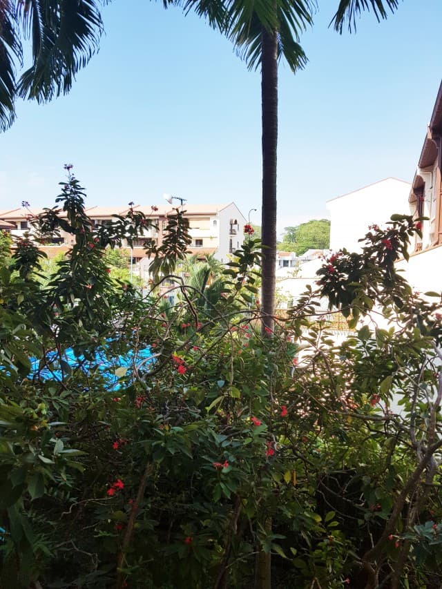 Casa Rosa listing