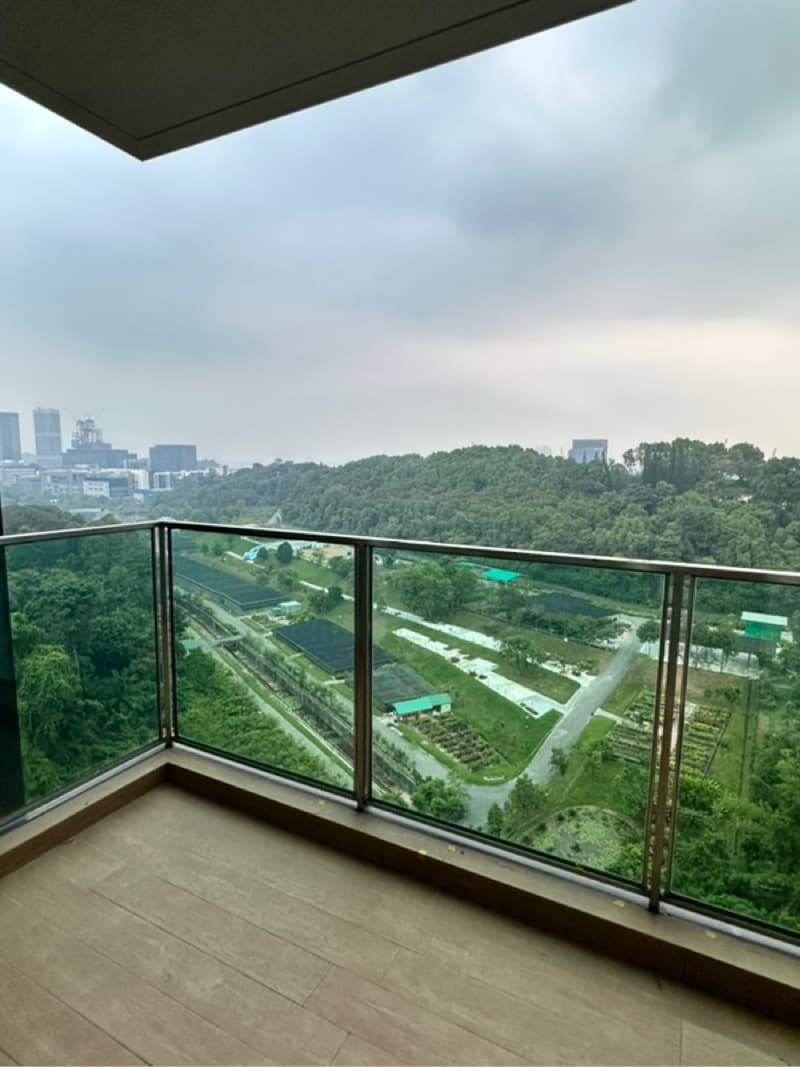 Normanton Park listing