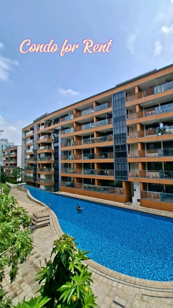 Sophia Hills