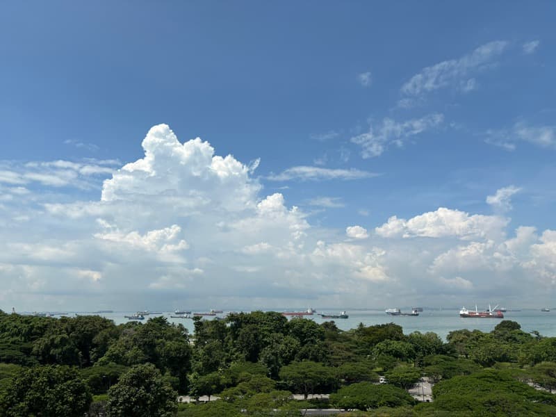 Mandarin Gardens listing
